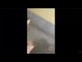 ESPOSA TRAINDO MARIDO