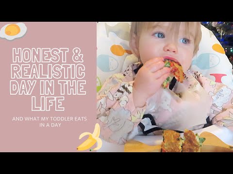 A VERY honest & realistic day in the life! | My go to quick & easy toddler meals | VLOGMAS DAY 3