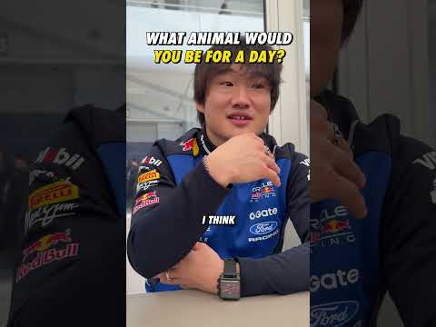 Sharks = instant no 🦈 #F1 #RedBullRacing