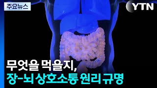 우리 몸이 무엇을 먹을지 결정하는 원리는?...장과 뇌 조절 원리 규명 / YTN