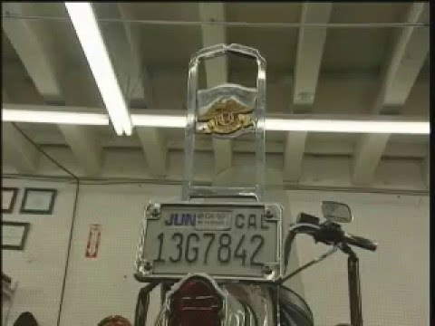 Born To Ride Trailer