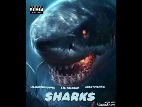 LILAARONSODMG, Lil Shaun-Sharks (Feat.InkByMarka)