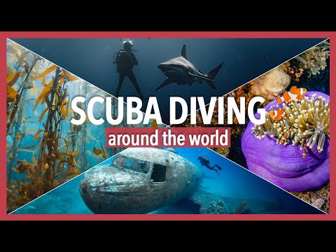 DIVING AROUND THE WORLD 🌍👌 || Diving in underwater PARADISES || SCUBA DIVE