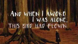 Norwegian Wood - The Beatles (Ukulele cover + Lyric video)