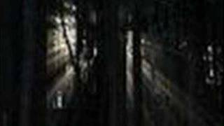 Four in the Morning - The Youngbloods