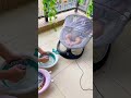 How to Make Baby's Sleep Easier? Discover the Electric Rocking Baby Swing Chair!  #cutebaby