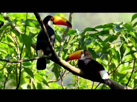 !Vijila  a  tu padre!