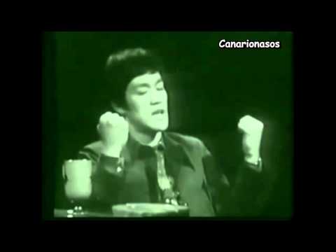 Bruce Lee y la teoría del Canario