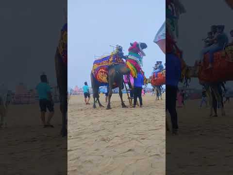 beach se chhod kr aane ka man hi nhi kar rhi thi