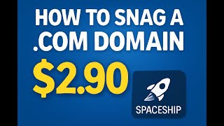 How to Snag a .COM Domain for Just $2.90 (Yes, Really!) on Spaceship.c