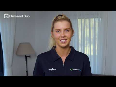 Talking Pest Control: Quick Tips for Flea Control