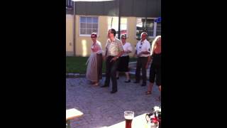 preview picture of video 'Line Dance beim Loosdorfer Kirtag mit Band JEDAZEIT'
