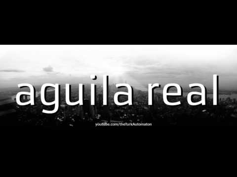 How to pronounce aguila in Spanish