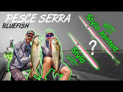 How to Catch BIG Bluefish in Summer with STYLO and STYLO JOINTED!