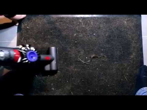 Dyson v8 absolute Animal Hair Test!!!