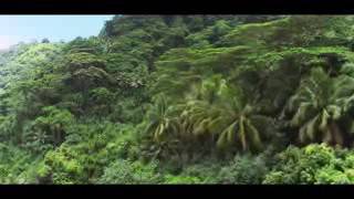 PNL : On enverra Mowgli chercher médailles