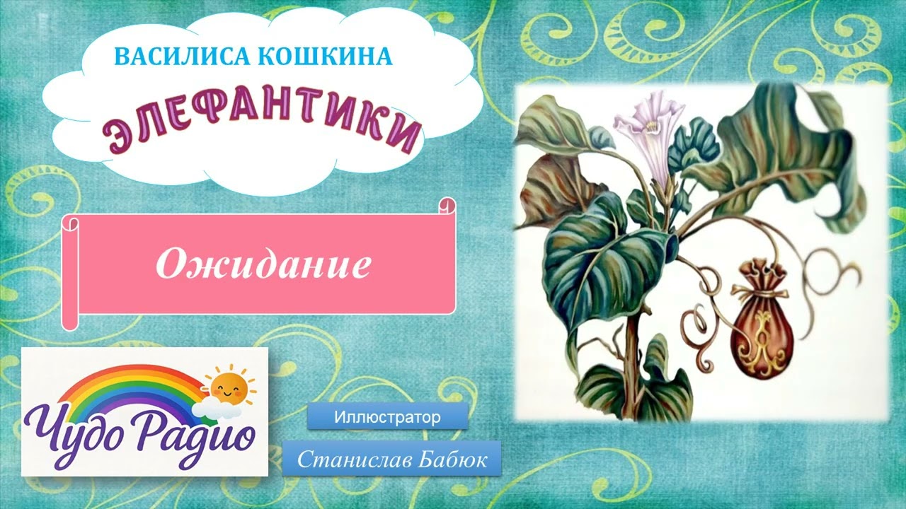 Ожидание. Элефантики. История 4