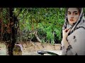 Bhagan Main Ho Wechoro Fozia Soomro Sindhi Song Viral