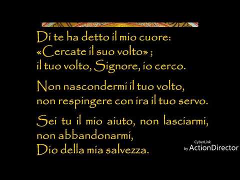 CERCATE IL SUO VOLTO