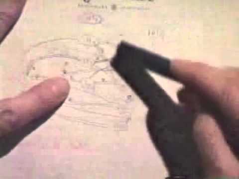 Stanford Lecture: Donald Knuth - "Trees, Forests, and Polyominoes" (2000)