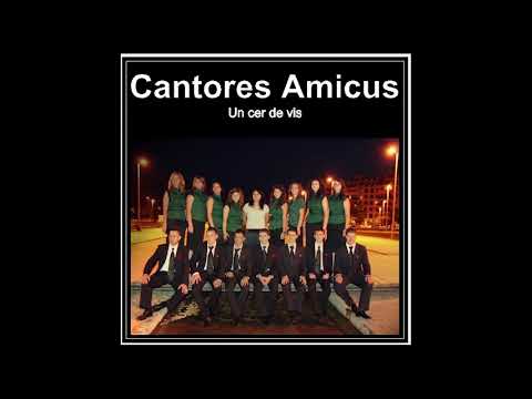 Mi de stelute - Cantores Amicus