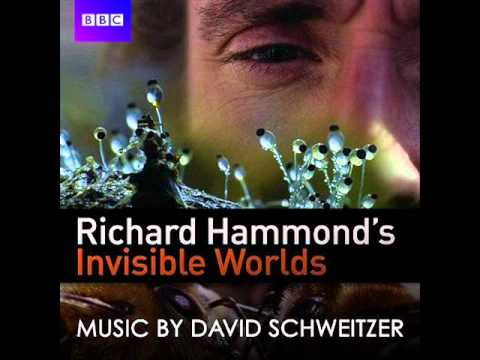 Richard Hammond's Invisible Worlds Soundtrack - Unseen Mystery