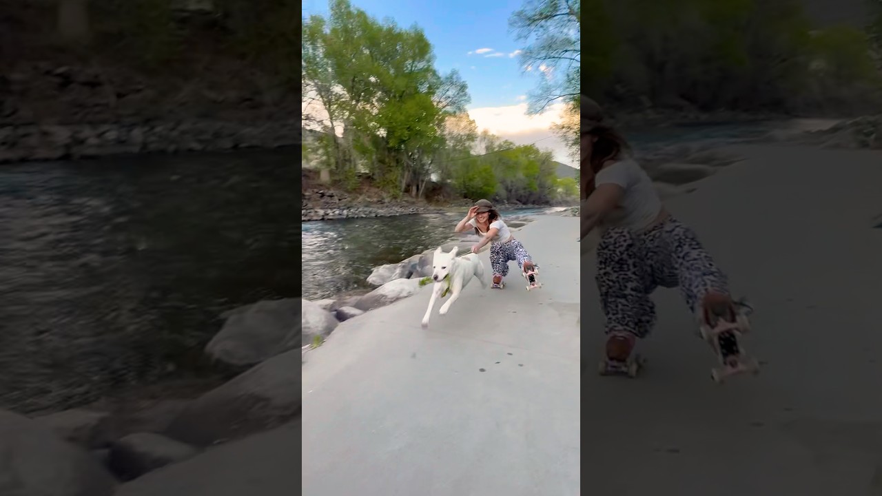 Full speed ahead Lilo🐶 skate tow by the river 🥹💐🛼🌞🕊️ #rollerskating #dog #skate