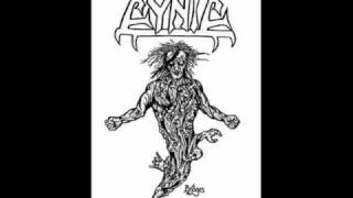 Cynic - Weak Reasoning