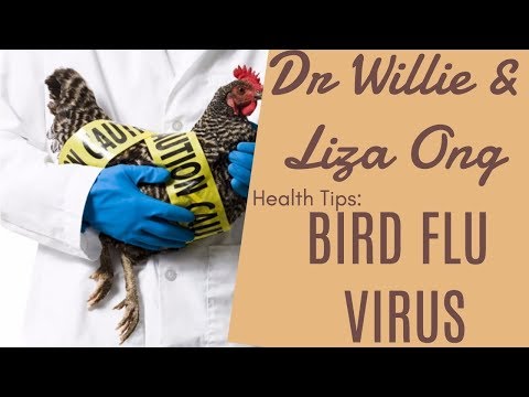 Lyudmila Svetlov huminga nang palabas ng timbang sa libreng pag-download Simpleng pagkain slimming tiyan at mga gilid para sa mga kalalakihan