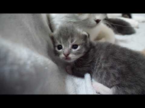 YouTube 썸네일
