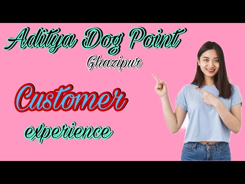 Customer Experience... Pet Shop...Aditya Dog Point & Accessories...Rajendra Nagar,Peernagar- Gzp -UP