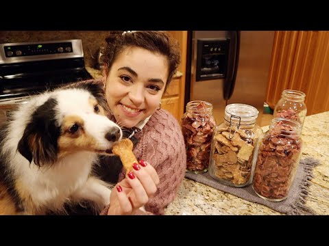 YouTube video about: How to make freeze dried dog treats?