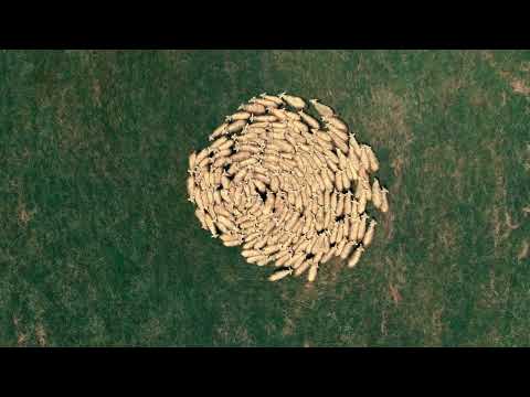 Osteria da fortuna: la produção