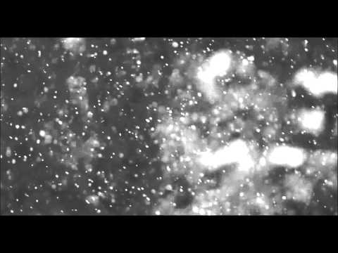 David Milutinović - Izabella