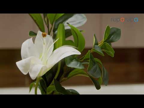 Gambar Informa Bunga Artifisial Liliy 19x59 cm - Putih