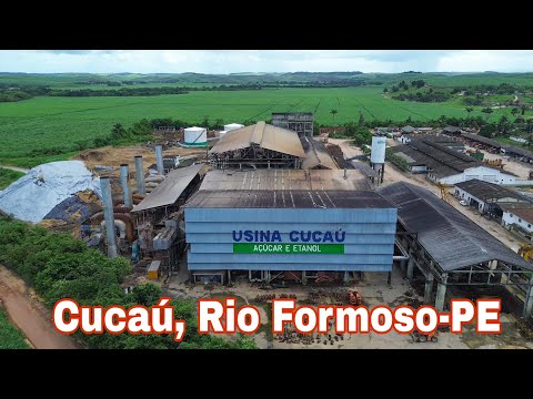 Usina Cucaú Rio Formoso Pernambuco Entresafra 2024