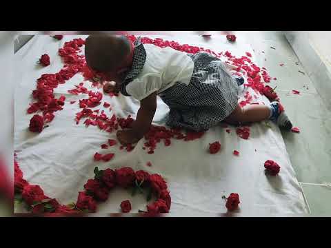 playing with flowers🌸🌺🌻🌹🌷🌼💐