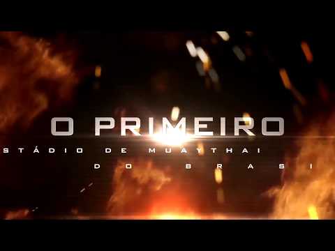 Losano Team - Portuárius Stadium / Erasmo Marguti ( Gibi ) .