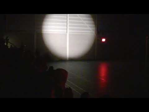 Oplopen Nwk 1   Die Haghe 1 6 januari