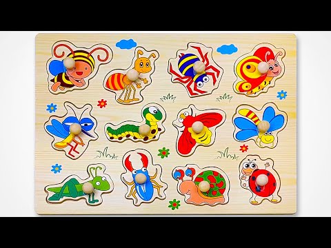 Learn Insects & Bugs Names with Activity Puzzle | Best Preschool Learning Video for Kids & Toddlers