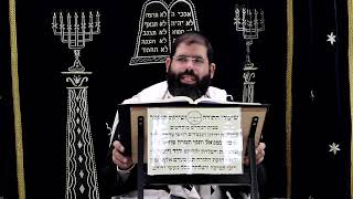 הוריות דף ג' ע''א ¤ הרב נתנאל אברז'ל ¤ בית הכנסת "בית מרדכי" (מוסדות תורת דוד) - התמונה מוצגת ישירות מתוך אתר האינטרנט יוטיוב. זכויות היוצרים בתמונה שייכות ליוצרה. קישור קרדיט למקור התוכן נמצא בתוך דף הסרטון