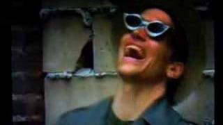 Cornbugs Headcheese DVD