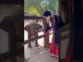 Adah And Shudhboley ️ ️such A Cuuuuteeee Babyyy