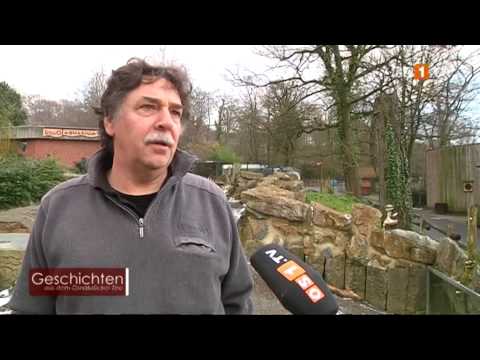 Geschichten aus dem Osnabrücker Zoo -- Die Stachelschweine