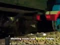 Thomas Friends Series 11 Roll Call US