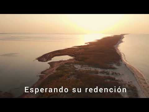 Arautos do Rei - El día al fin llegó - subtitulos en español