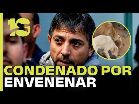 Confirman condena al exintendente de Dean Funes por envenenar a 200 perros
