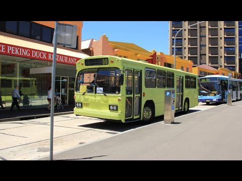 Transit Scenic Tours TV 5935 - Mercedes-Benz O305 (W3D/PMC Mk3)