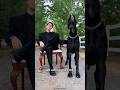 Great Dane The Truth Behind Their Massive Size