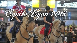 EquitaLyon 2015 - Le Cheval Fjord